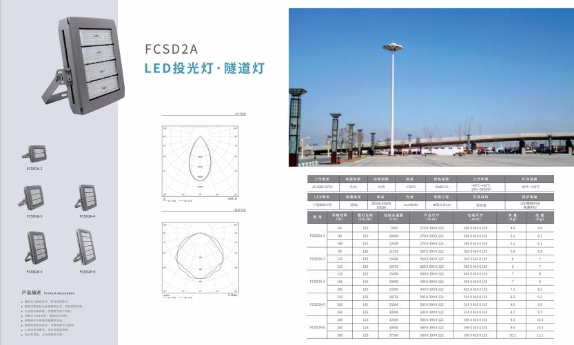 金凤投光灯 金凤投光灯