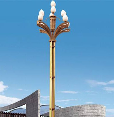 金凤中华灯 金凤中华灯