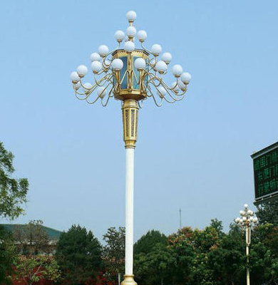 金凤中华灯 金凤中华灯