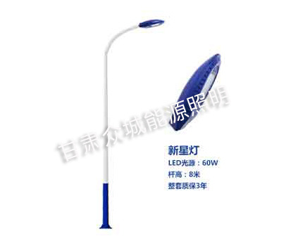 金凤爆款市电路灯