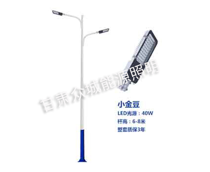 金凤爆款市电路灯 金凤爆款市电路灯